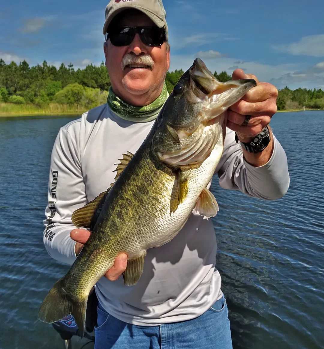Largemouth bass in Englewood Cliffs