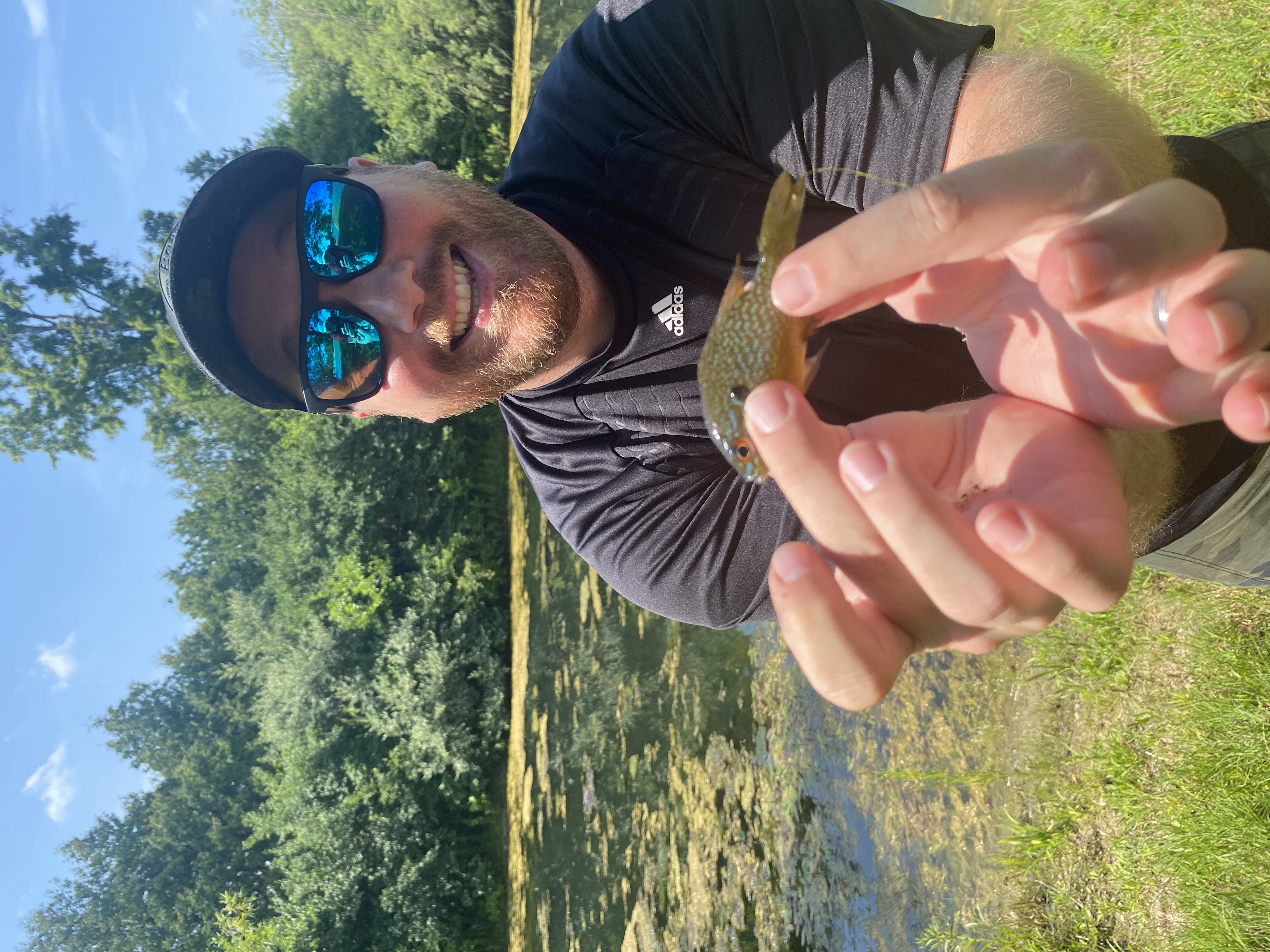 Bluegill in United States