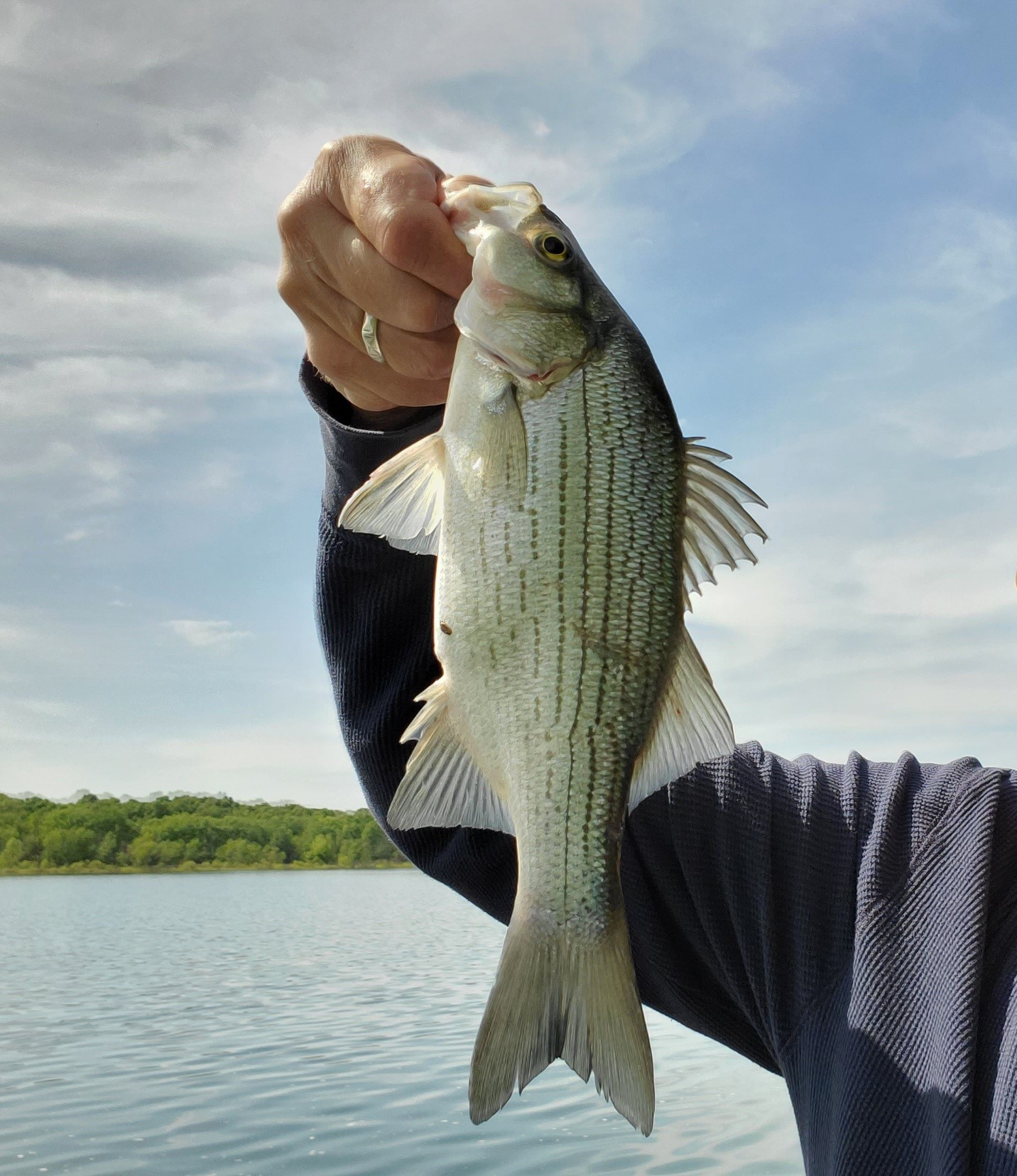 Fishing in Stockton Lake
