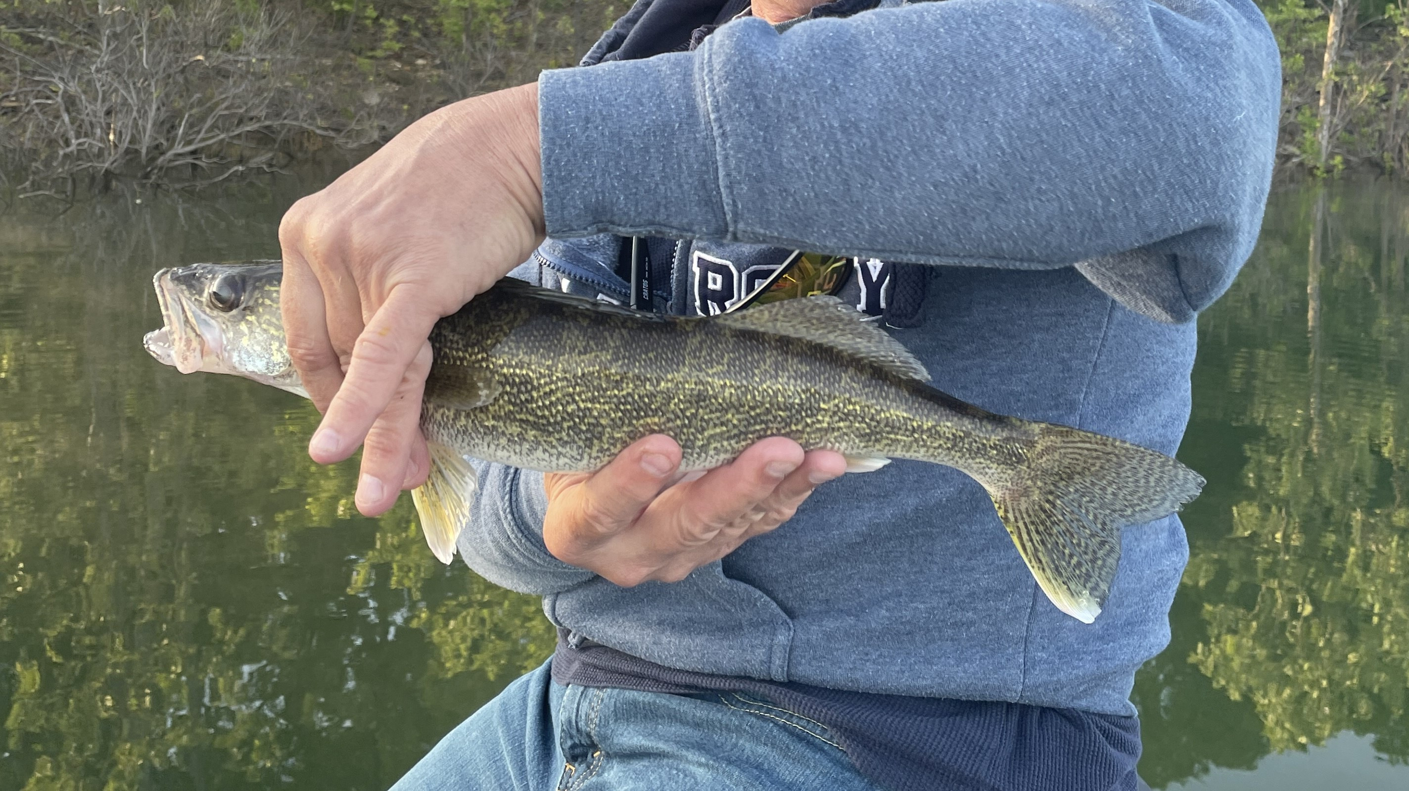 Fishing in Stockton Lake