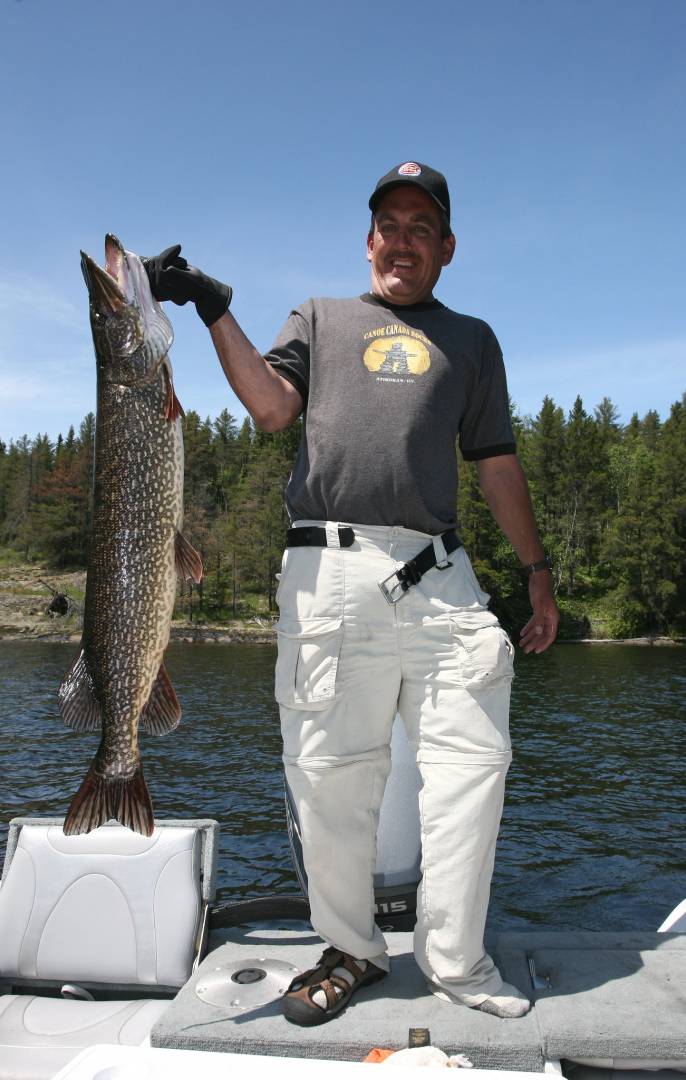 Northern pike in Lake Superior