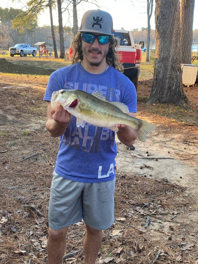 Largemouth bass in Newton