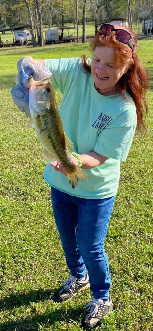 Largemouth bass in Newton