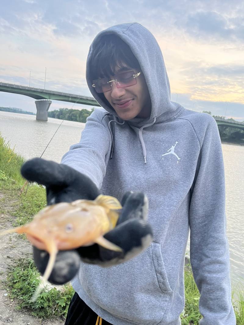Channel catfish in Minnesota