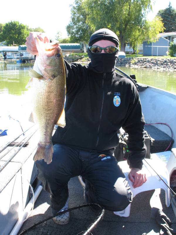 Largemouth bass in Minnesota