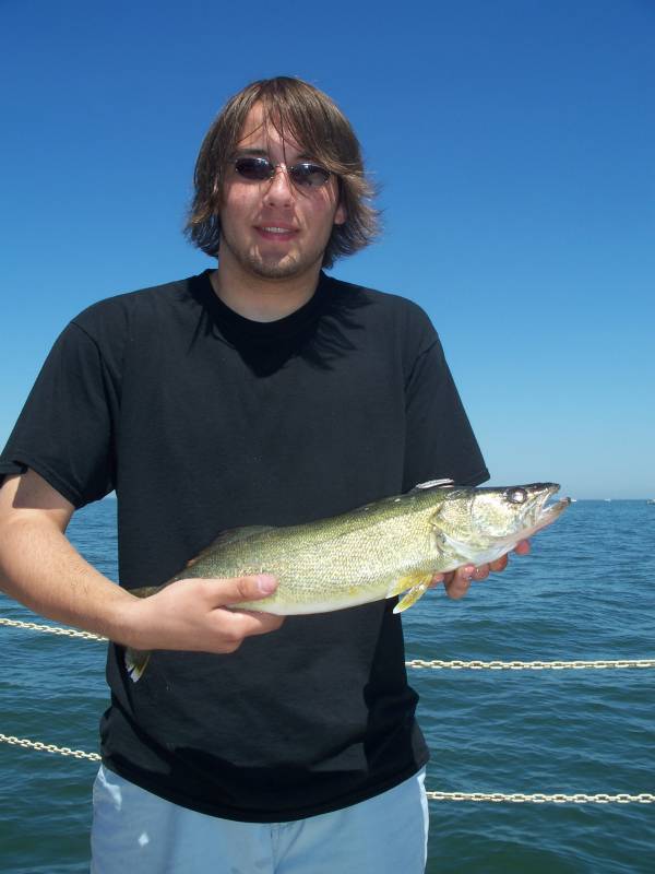 Walleye in Lake Erie