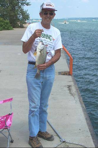 Freshwater drum in Union City