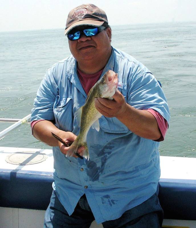 Walleye in Lake Erie