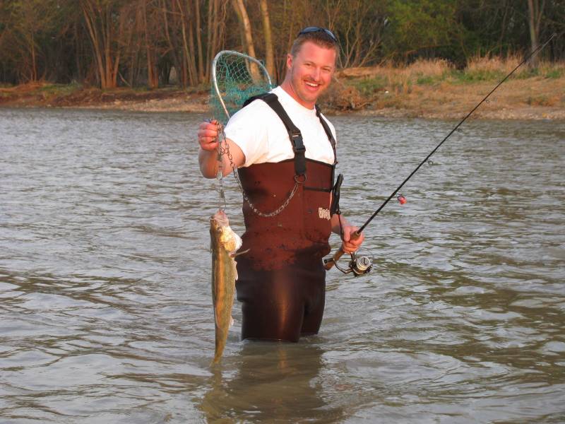 Walleye in Deerfield
