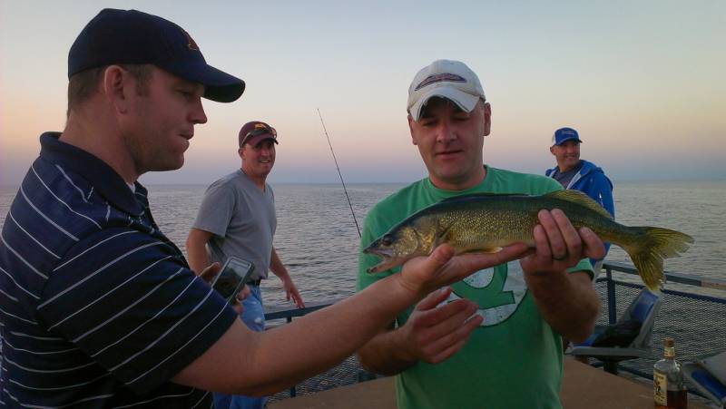 Walleye in United States
