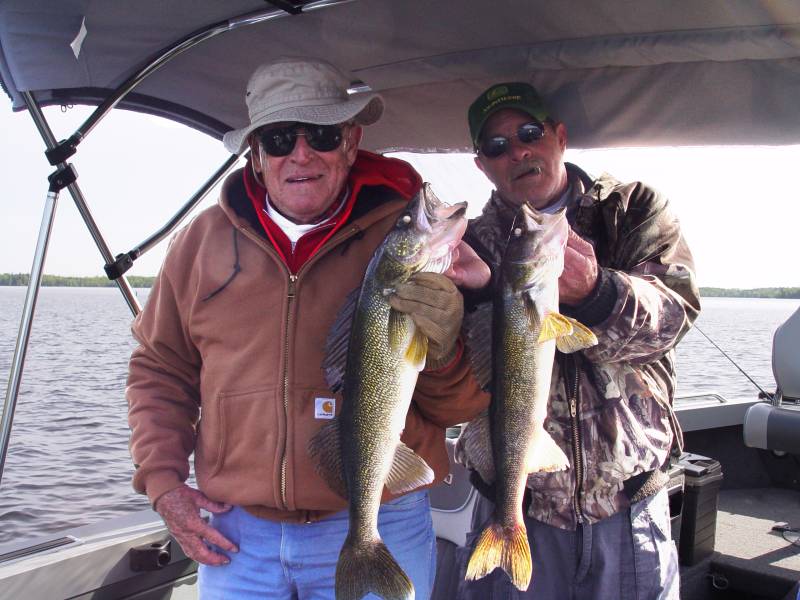 Walleye in Minnesota