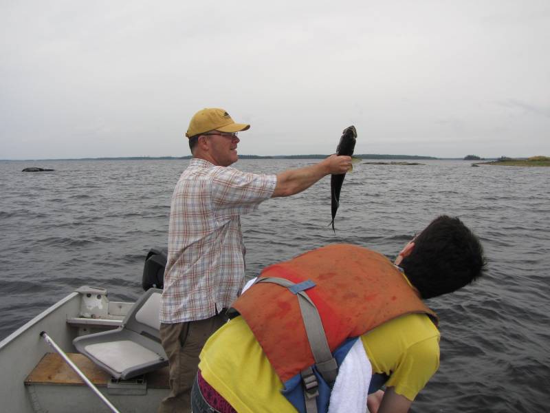 Walleye in Minnesota