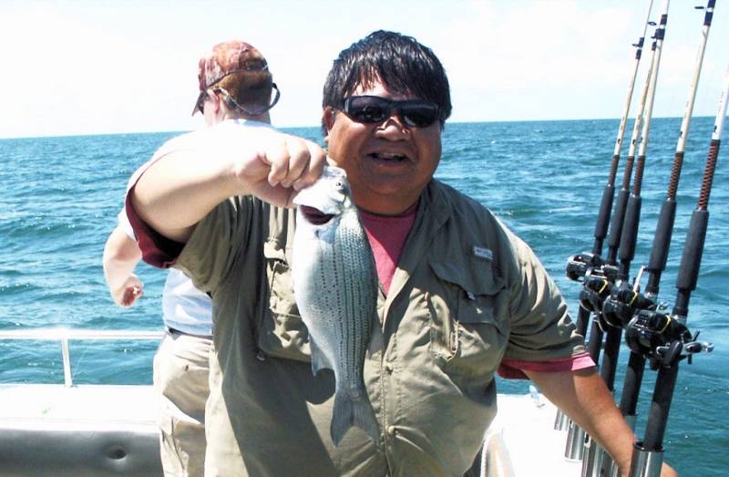 White bass in Lake Erie
