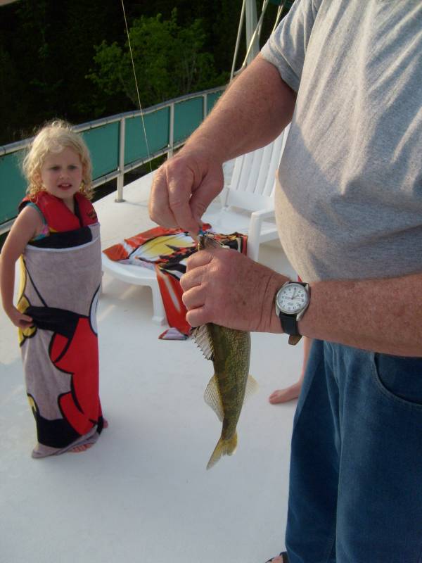 Walleye in Tennessee