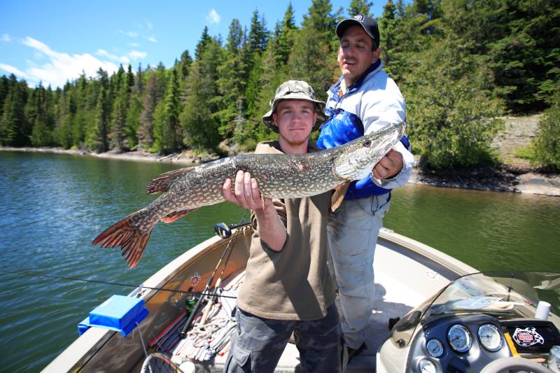 Northern pike in Lake Superior