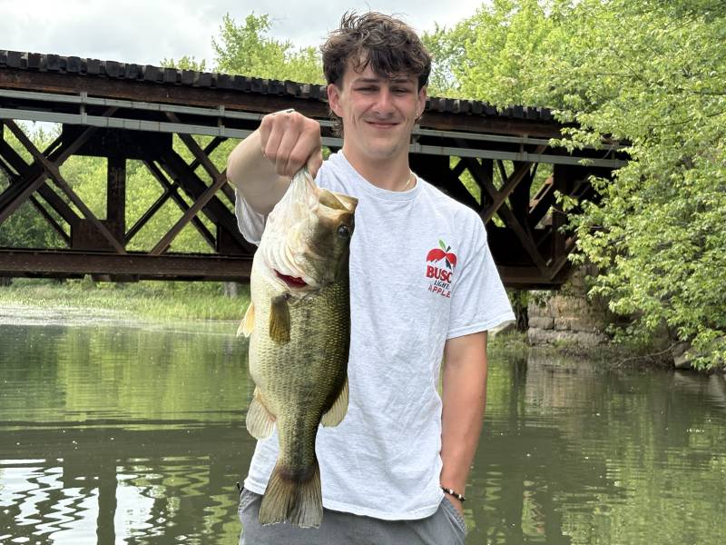 Largemouth bass in Village of Lake Placid