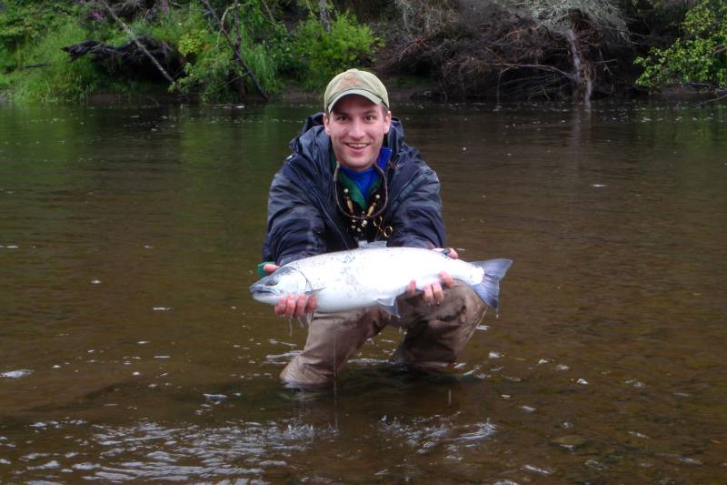Coho salmon in Homer