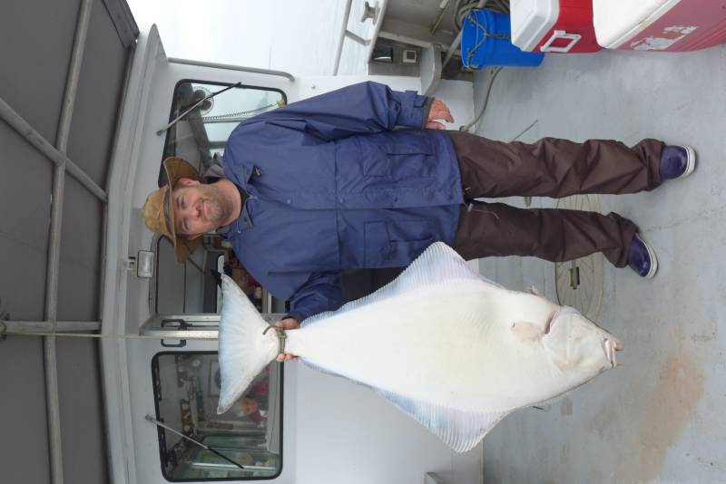 Pacific halibut in Alaska