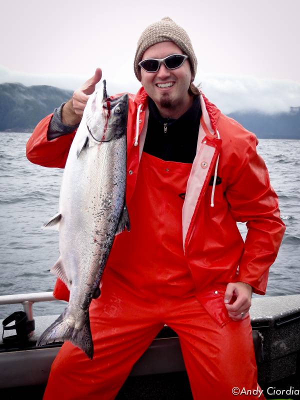 King salmon in Alaska