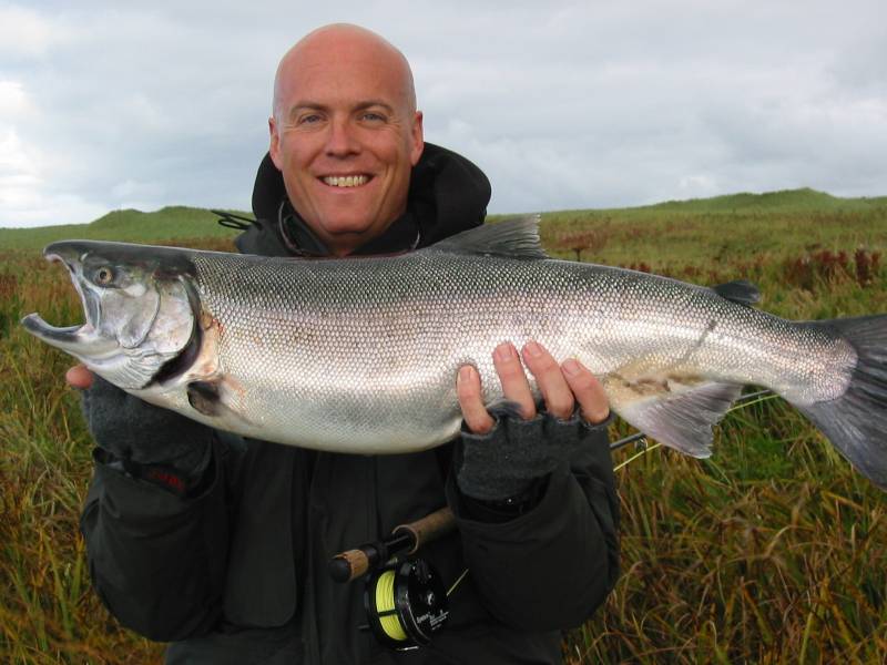 Coho salmon in Alaska