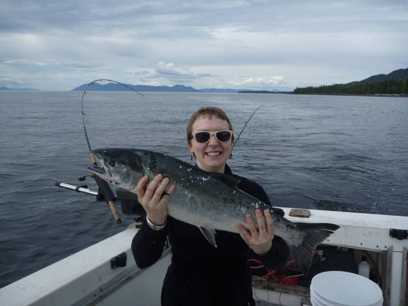 Coho salmon in Alaska