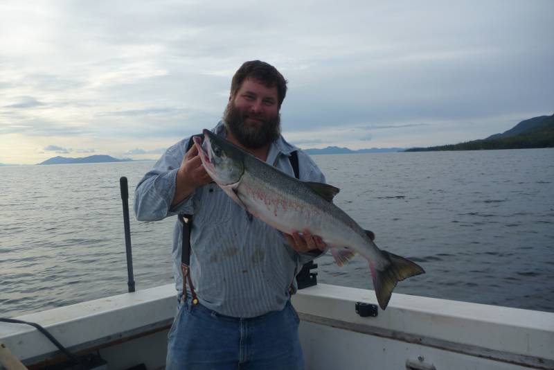 Chum salmon in Alaska