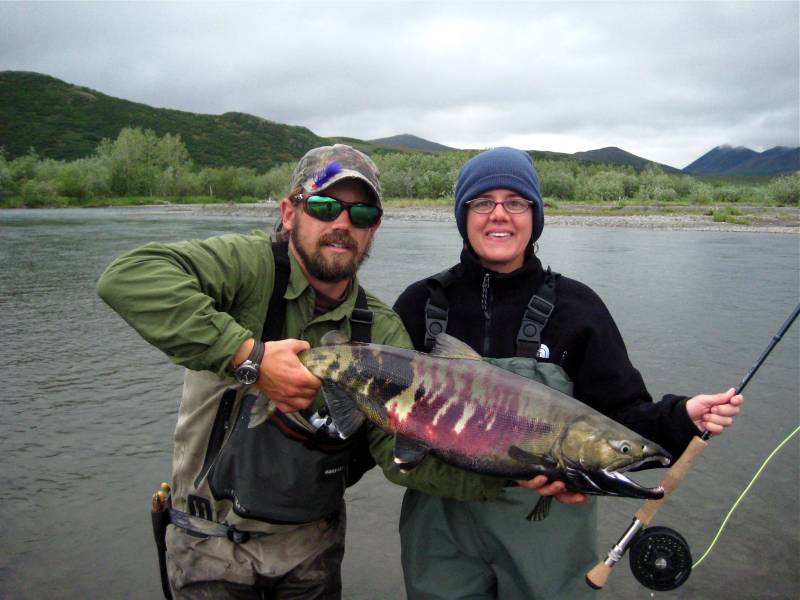 Chum salmon in Alaska