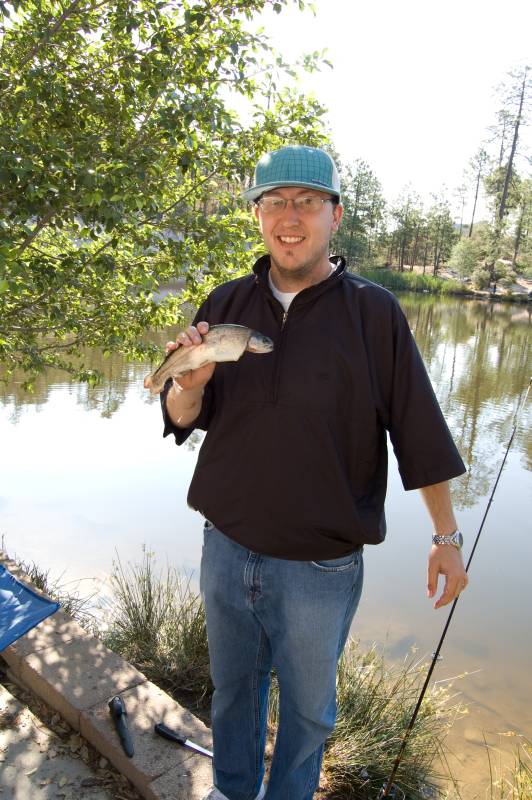 Rainbow trout in Arizona