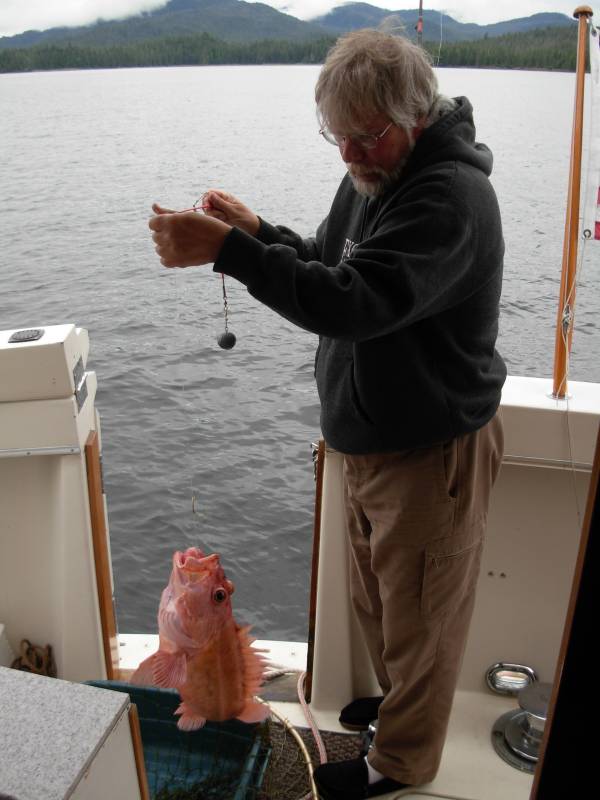 Yelloweye rockfish in Alaska