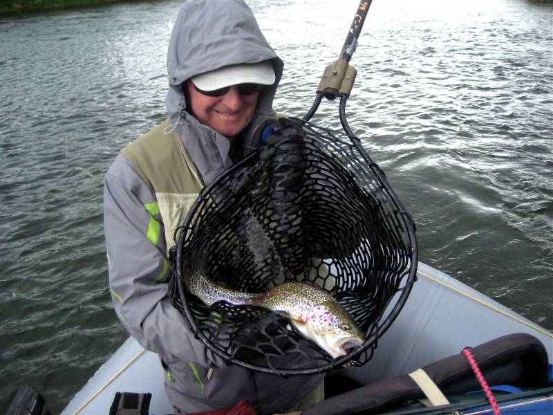 Rainbow trout in Alaska