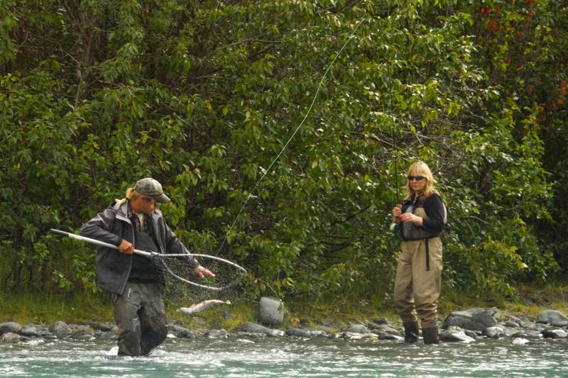 Rainbow trout in Seward