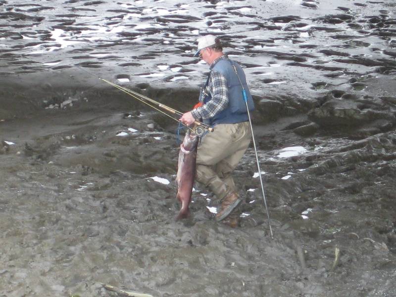 King salmon in Anchorage