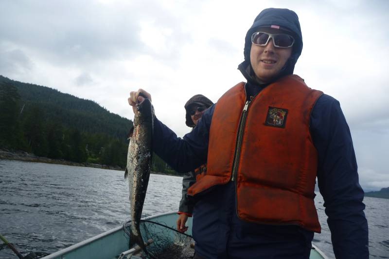 King salmon in Alaska