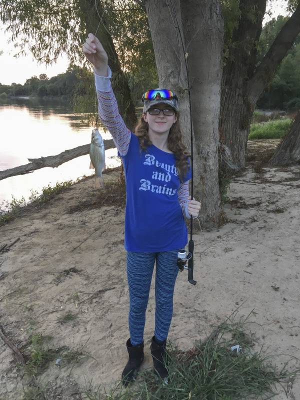 White bass in White River