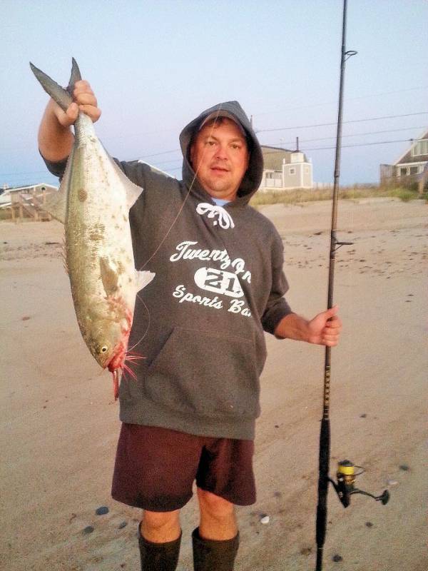 Bluefish in New London