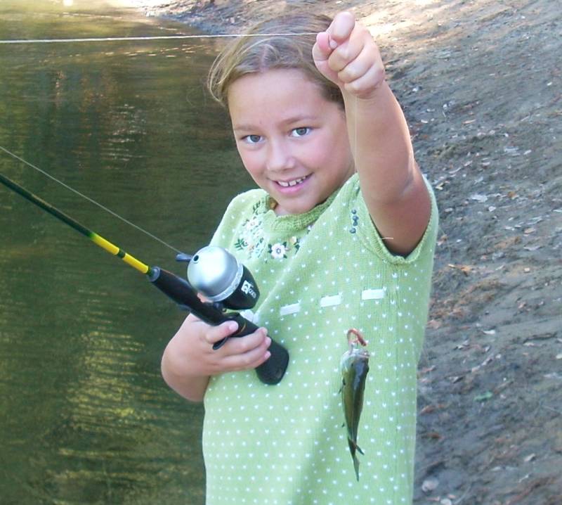 Bluegill in Santa Cruz