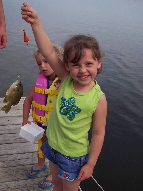 Bluegill in Minnesota