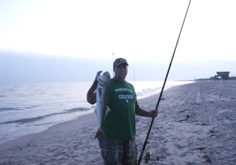 Bluefish in New London