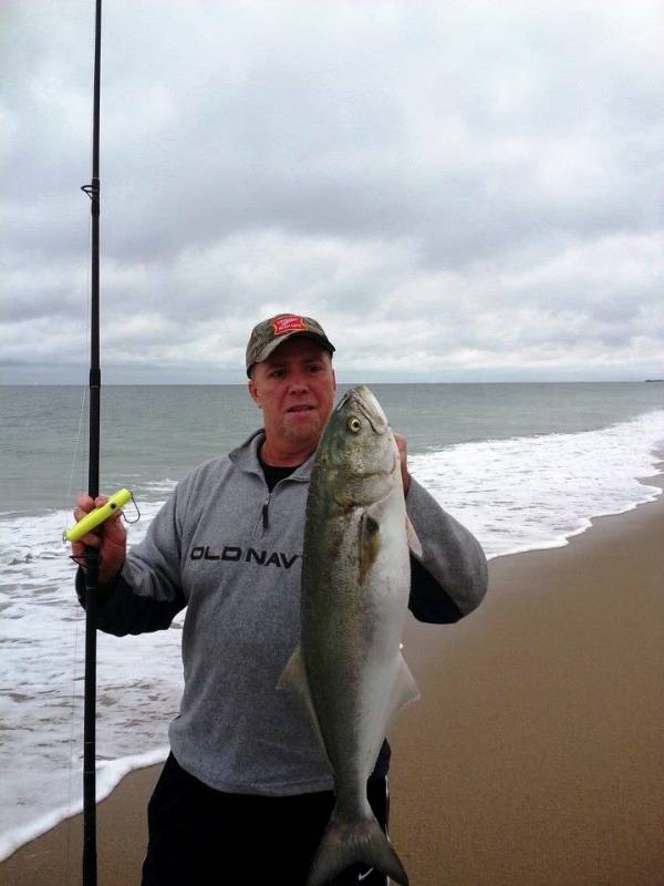 Bluefish in New London