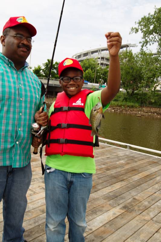 Bluegill in Alexandria
