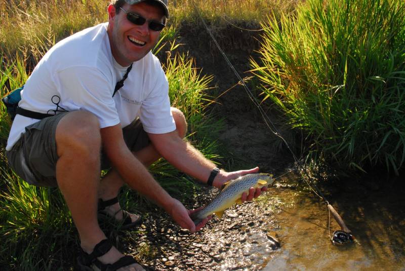 Brown trout in Montana