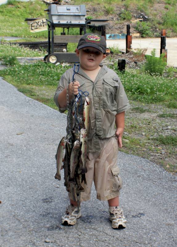 Rainbow trout in Chattahoochee River