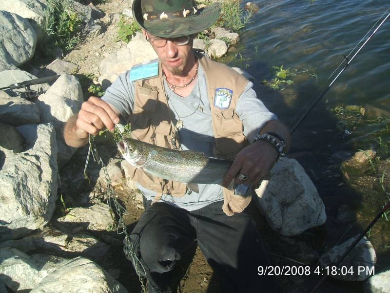 Rainbow trout in Stallion Springs