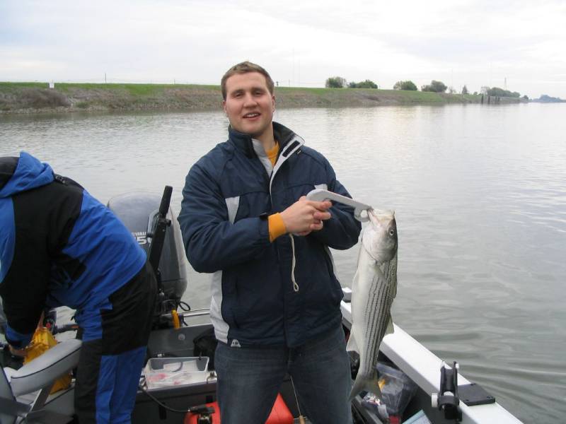 Striped bass in Sacramento County