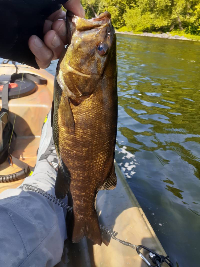 Fishing in Village of Monroe