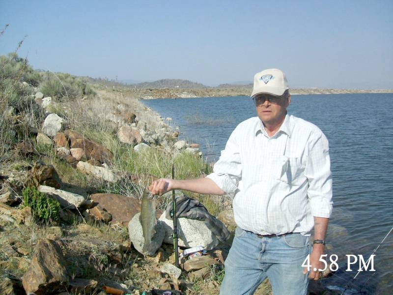 Rainbow trout in Stallion Springs
