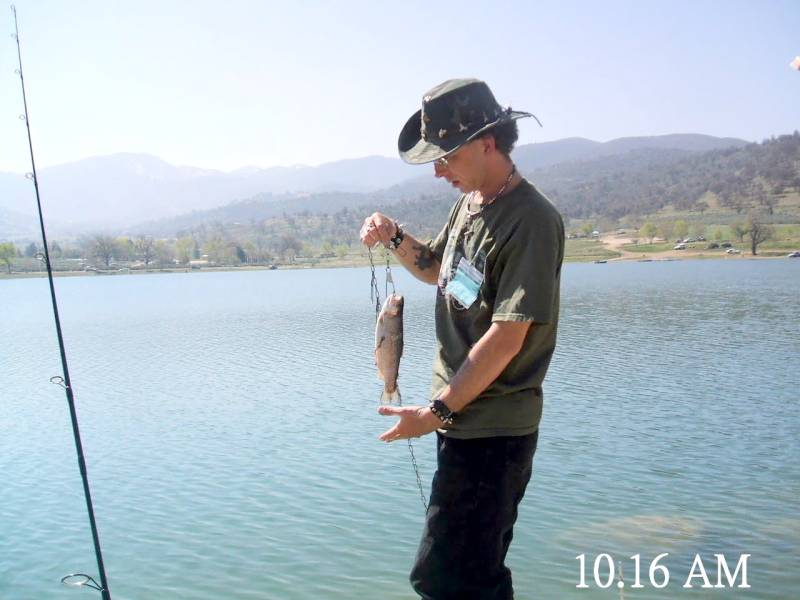 Rainbow trout in Stallion Springs