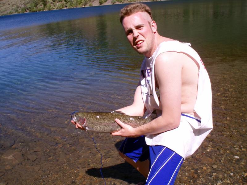 Rainbow trout in West Bishop