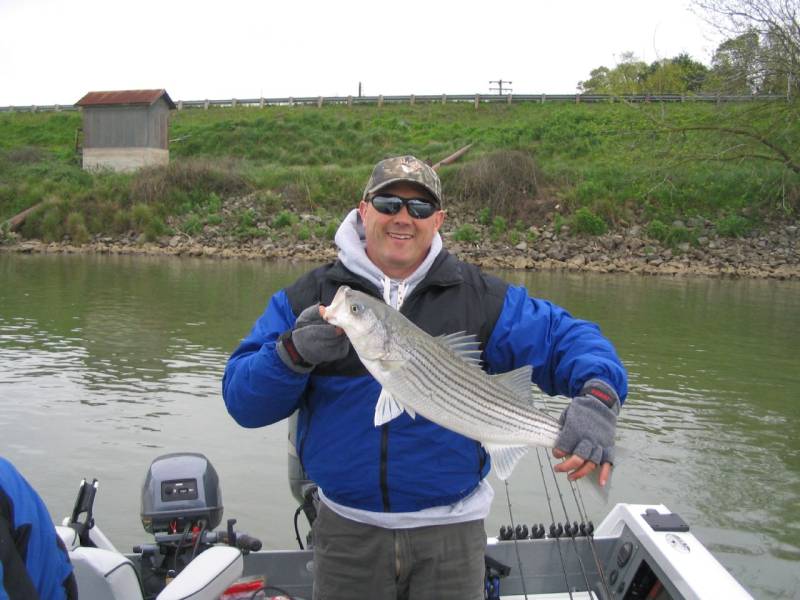 Striped bass in Vacaville