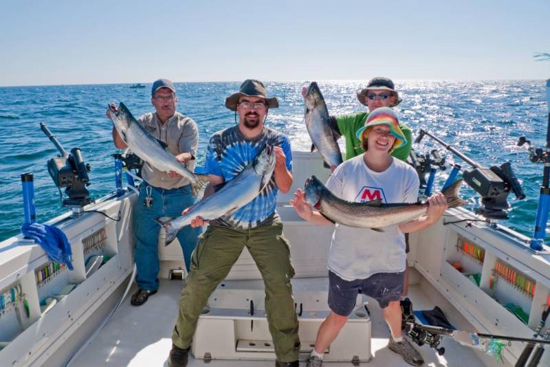 King salmon in Wisconsin